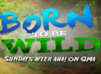 Born To Be Wild September 22 2024 Replay Full Episode